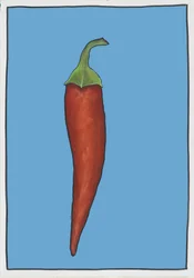 Chilli Blue, 2005